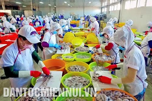 Ứng dụng thành công khoa học công nghệ vào sản xuất rượu vang thanh long. Ảnh: Nguyễn Thanh Các hợp tác xã khai thác và chế biến hải sản trên địa bàn tỉnh Bình Thuận góp phần không nhỏ vào việc giải quyết việc làm và nâng cao thu nhập cho bà con dân tộc. Ảnh: Nguyễn Thanh Trồng dưa lưới trong nhà màng tại huyện Bắc Bình. Ảnh: Nguyễn Thanh Mô hình trồng nấm linh chi, nấm rơm và sản xuất phân hữu cơ tại Hợp tác xã nông nghiệp Lạc Tánh, huyện Tánh Linh. Ảnh: Nguyễn Thanh Trồng lúa chất lượng cao đem lại hiệu quả kinh tế cho nông dân tại huyện Đức Linh. Ảnh: Nguyễn Thanh Ứng dụng thành công khoa học công nghệ vào sản xuất rượu vang thanh long. Ảnh: Nguyễn Thanh Các hợp tác xã khai thác và chế biến hải sản trên địa bàn tỉnh Bình Thuận góp phần không nhỏ vào việc giải quyết việc làm và nâng cao thu nhập cho bà con dân tộc. Ảnh: Nguyễn Thanh Trồng dưa lưới trong nhà màng tại huyện Bắc Bình. Ảnh: Nguyễn Thanh Mô hình trồng nấm linh chi, nấm rơm và sản xuất phân hữu cơ tại Hợp tác xã nông nghiệp Lạc Tánh, huyện Tánh Linh. Ảnh: Nguyễn Thanh Trồng lúa chất lượng cao đem lại hiệu quả kinh tế cho nông dân tại huyện Đức Linh. Ảnh: Nguyễn Thanh