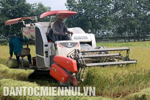 Ứng dụng thành công khoa học công nghệ vào sản xuất rượu vang thanh long. Ảnh: Nguyễn Thanh Các hợp tác xã khai thác và chế biến hải sản trên địa bàn tỉnh Bình Thuận góp phần không nhỏ vào việc giải quyết việc làm và nâng cao thu nhập cho bà con dân tộc. Ảnh: Nguyễn Thanh Trồng dưa lưới trong nhà màng tại huyện Bắc Bình. Ảnh: Nguyễn Thanh Mô hình trồng nấm linh chi, nấm rơm và sản xuất phân hữu cơ tại Hợp tác xã nông nghiệp Lạc Tánh, huyện Tánh Linh. Ảnh: Nguyễn Thanh Trồng lúa chất lượng cao đem lại hiệu quả kinh tế cho nông dân tại huyện Đức Linh. Ảnh: Nguyễn Thanh