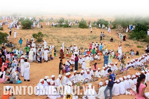 Toàn cảnh lễ tảo mộ dịp Tết Ramưwan của người Chăm Bàni tại Bình Thuận. Ảnh: Hồng Hiếu