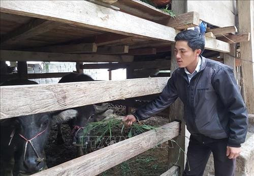 Anh Mai Văn Nhàn, thôn Nhìu Sang, xã Chiến Phố, huyện Hoàng Su Phì (Hà Giang) phát triển kinh tế nhờ vào nguồn vốn của chương trình giảm nghèo dựa trên phát triển hàng hóa. Ảnh: Nguyễn Chiến - TTXVN Anh Mai Văn Nhàn, thôn Nhìu Sang, xã Chiến Phố, huyện Hoàng Su Phì (Hà Giang) phát triển kinh tế nhờ vào nguồn vốn của chương trình giảm nghèo dựa trên phát triển hàng hóa. Ảnh: Nguyễn Chiến - TTXVN