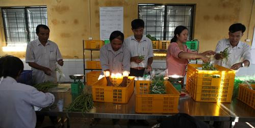 Hà Nội nâng cao chất lượng rau an toàn ảnh 6