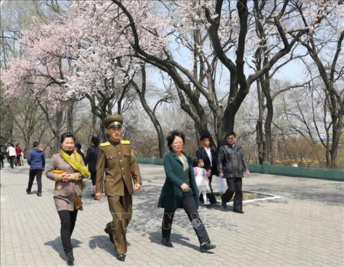 Thủ đô Bình Nhưỡng ngày nay mang một dáng vẻ hiện đại. Ảnh: Phương Hoa – TTXVN Những ngôi nhà cao tầng được sơn nhiều màu sắc mang dáng vẻ hiện đại cho Thủ đô Bình Nhưỡng. Ảnh: Phương Hoa- TTXVN Toàn cảnh thành phố Bình Nhưỡng nhìn từ trên cao. Ảnh: Phương Hoa – TTXVN Tiết mục hòa nhạc của Dàn nhạc Công Huân quốc gia Triều Tiên. Ảnh: Phương Hoa – TTXVN Đúng dịp sinh nhật của Chủ tịch Kim Nhật Thành, Triển lãm hoa được tổ chức tại Thủ đô Bình Nhưỡng. Ảnh: Phương Hoa – TTXVN Một gia đình Triều Tiên tham quan Triển lãm hoa Kim Nhật Thành. Ảnh: Phương Hoa – TTXVN Phụ nữ Triều Tiên mặc trang phục truyền thống vào xem Triển lãm hoa Kim Nhật Thành. Ảnh: Phương Hoa – TTXVN Người dân Triều Tiên xếp hàng vào xem Triển lãm hoa Kim Nhật Thành. Ảnh: Phương Hoa – TTXVN Một ngôi nhà truyền thống bên cạnh những công trình hiện đại. Ảnh: Phương Hoa – TTXVN Người dân và thiếu niên Triều Tiên đến vui chơi ở công viên. Ảnh: Phương Hoa – TTXVN Ngày cuối tuần, người dân Triều Tiên đến vui chơi ở các công viên nổi tiếng. Ảnh: Phương Hoa – TTXVN Một gian hàng dược phẩm ở Bình Nhưỡng. Ảnh: Phương Hoa – TTXVN Học sinh học môn thể thao yêu thích ở trường học. Ảnh: Phương Hoa – TTXVN Lớp học âm nhạc của học sinh Triều Tiên. Ảnh: Phương Hoa – TTXVN Lớp dạy lập trình tại Cung Học sinh Thiếu niên Vạn Cảnh Đài. Ảnh: Phương Hoa – TTXVN Triều Tiên rất chú trọng đến việc phát triển toàn diện con người, học sinh được tham gia các lớp học nghệ thuật. Ảnh: Phương Hoa- TTXVN Học sinh Triều Tiên học viết thư pháp. Ảnh: Phương Hoa – TTXVN Một cặp vợ chồng sắp cưới chụp ảnh trước Bảo tàng Chiến thắng Chiến tranh Giải phóng Tổ quốc. Ảnh: Phương Hoa – TTXVN Người dân xếp hàng trật tự lên phương tiện giao thông công cộng. Ảnh: Phương Hoa- TTXVN Cung Thái Dương Kumsusan-nơi an nghỉ của Chủ tịch Kim Nhật Thành và Kim Jong - Il. Ảnh: Phương Hoa – TTXVN Nhà ga trung tâm ở Thủ đô Bình Nhưỡng. Ảnh: Phương Hoa – TTXVN Tòa nhà Quốc hội ở Thủ đô Bình Nhưỡng. Ảnh: Phương Hoa – TTXVN Ngoài phương tiện giao thông công cộng, người dân Bình Nhưỡng thường xuyên sử dụng xe đạp. Ảnh: Phương Hoa – TTXVN Hoa nở trên đường phố cùng với những ngôi nhà cao tầng mang nhiều màu sắc rực rỡ. Ảnh: Phương Hoa – TTXVN Tượng "Vạn Lý Mã" - bức tượng nổi tiếng ở Bình Nhưỡng. Ảnh: Phương Hoa – TTXVN Những dãy phố với công trình kiến trúc hiện đại được xây dựng ở Bình Nhưỡng. Ảnh: Phương Hoa – TTXVN Nhiều chung cư cao tầng được xây dựng phục vụ chỗ ở cho người dân ở Thủ đô Bình Nhưỡng. Ảnh: Phương Hoa – TTXVN Khải Hoàn Môn - một công trình nổi tiếng ở Bình Nhưỡng. Ảnh: Phương Hoa – TTXVN Tháp Chủ thể cao 170 m là Tượng đài về học thuyết tự lực tự cường ở Triều Tiên. Ảnh: Phương Hoa – TTXVN Một công trình kiến trúc truyền thống của Triều Tiên tại Thủ đô Bình Nhưỡng. Ảnh: Phương Hoa – TTXVN Quảng trường Kim Nhật Thành, nơi tổ chức các sự kiện lớn của Triều Tiên. Ảnh: Phương Hoa – TTXVN Pin năng lượng mặt trời được sử dụng ở nhiều nơi tại Thủ đô Bình Nhưỡng. Ảnh: Phương Hoa – TTXVN Ô tô điện là phương tiện giao thông công cộng phổ biển ở Bình Nhưỡng. Ảnh: Phương Hoa – TTXVN Nhà ga Bình Nhưỡng nhìn từ trên cao. Ảnh: Phương Hoa – TTXVN Tòa nhà Ryugyong cao 330m ở Thủ đô Bình Nhưỡng. Ảnh: Phương Hoa – TTXVN Một công trình lịch sử ở Thủ đô Bình Nhưỡng. Ảnh: Phương Hoa – TTXVN Học sinh mầm non được cô giáo dẫn đi dã ngoại. Ảnh: Phương Hoa – TTXVN Thủ đô Bình Nhưỡng nhìn từ trên cao. Ảnh: Phương Hoa – TTXVN Khu Chang Jong, nơi tập trung nhiều nhà cao tầng. Ảnh: Phương Hoa – TTXVN Thủ đô Bình Nhưỡng ngày nay mang một dáng vẻ hiện đại. Ảnh: Phương Hoa – TTXVN Những ngôi nhà cao tầng được sơn nhiều màu sắc mang dáng vẻ hiện đại cho Thủ đô Bình Nhưỡng. Ảnh: Phương Hoa- TTXVN Toàn cảnh thành phố Bình Nhưỡng nhìn từ trên cao. Ảnh: Phương Hoa – TTXVN Tiết mục hòa nhạc của Dàn nhạc Công Huân quốc gia Triều Tiên. Ảnh: Phương Hoa – TTXVN Đúng dịp sinh nhật của Chủ tịch Kim Nhật Thành, Triển lãm hoa được tổ chức tại Thủ đô Bình Nhưỡng. Ảnh: Phương Hoa – TTXVN Một gia đình Triều Tiên tham quan Triển lãm hoa Kim Nhật Thành. Ảnh: Phương Hoa – TTXVN Phụ nữ Triều Tiên mặc trang phục truyền thống vào xem Triển lãm hoa Kim Nhật Thành. Ảnh: Phương Hoa – TTXVN Người dân Triều Tiên xếp hàng vào xem Triển lãm hoa Kim Nhật Thành. Ảnh: Phương Hoa – TTXVN Một ngôi nhà truyền thống bên cạnh những công trình hiện đại. Ảnh: Phương Hoa – TTXVN Người dân và thiếu niên Triều Tiên đến vui chơi ở công viên. Ảnh: Phương Hoa – TTXVN Ngày cuối tuần, người dân Triều Tiên đến vui chơi ở các công viên nổi tiếng. Ảnh: Phương Hoa – TTXVN Một gian hàng dược phẩm ở Bình Nhưỡng. Ảnh: Phương Hoa – TTXVN Học sinh học môn thể thao yêu thích ở trường học. Ảnh: Phương Hoa – TTXVN Lớp học âm nhạc của học sinh Triều Tiên. Ảnh: Phương Hoa – TTXVN Lớp dạy lập trình tại Cung Học sinh Thiếu niên Vạn Cảnh Đài. Ảnh: Phương Hoa – TTXVN Triều Tiên rất chú trọng đến việc phát triển toàn diện con người, học sinh được tham gia các lớp học nghệ thuật. Ảnh: Phương Hoa- TTXVN Học sinh Triều Tiên học viết thư pháp. Ảnh: Phương Hoa – TTXVN Một cặp vợ chồng sắp cưới chụp ảnh trước Bảo tàng Chiến thắng Chiến tranh Giải phóng Tổ quốc. Ảnh: Phương Hoa – TTXVN Người dân xếp hàng trật tự lên phương tiện giao thông công cộng. Ảnh: Phương Hoa- TTXVN Cung Thái Dương Kumsusan-nơi an nghỉ của Chủ tịch Kim Nhật Thành và Kim Jong - Il. Ảnh: Phương Hoa – TTXVN Nhà ga trung tâm ở Thủ đô Bình Nhưỡng. Ảnh: Phương Hoa – TTXVN Tòa nhà Quốc hội ở Thủ đô Bình Nhưỡng. Ảnh: Phương Hoa – TTXVN Ngoài phương tiện giao thông công cộng, người dân Bình Nhưỡng thường xuyên sử dụng xe đạp. Ảnh: Phương Hoa – TTXVN Hoa nở trên đường phố cùng với những ngôi nhà cao tầng mang nhiều màu sắc rực rỡ. Ảnh: Phương Hoa – TTXVN Tượng "Vạn Lý Mã" - bức tượng nổi tiếng ở Bình Nhưỡng. Ảnh: Phương Hoa – TTXVN Những dãy phố với công trình kiến trúc hiện đại được xây dựng ở Bình Nhưỡng. Ảnh: Phương Hoa – TTXVN Nhiều chung cư cao tầng được xây dựng phục vụ chỗ ở cho người dân ở Thủ đô Bình Nhưỡng. Ảnh: Phương Hoa – TTXVN Khải Hoàn Môn - một công trình nổi tiếng ở Bình Nhưỡng. Ảnh: Phương Hoa – TTXVN Tháp Chủ thể cao 170 m là Tượng đài về học thuyết tự lực tự cường ở Triều Tiên. Ảnh: Phương Hoa – TTXVN Một công trình kiến trúc truyền thống của Triều Tiên tại Thủ đô Bình Nhưỡng. Ảnh: Phương Hoa – TTXVN Quảng trường Kim Nhật Thành, nơi tổ chức các sự kiện lớn của Triều Tiên. Ảnh: Phương Hoa – TTXVN Pin năng lượng mặt trời được sử dụng ở nhiều nơi tại Thủ đô Bình Nhưỡng. Ảnh: Phương Hoa – TTXVN Ô tô điện là phương tiện giao thông công cộng phổ biển ở Bình Nhưỡng. Ảnh: Phương Hoa – TTXVN Nhà ga Bình Nhưỡng nhìn từ trên cao. Ảnh: Phương Hoa – TTXVN Tòa nhà Ryugyong cao 330m ở Thủ đô Bình Nhưỡng. Ảnh: Phương Hoa – TTXVN Một công trình lịch sử ở Thủ đô Bình Nhưỡng. Ảnh: Phương Hoa – TTXVN Học sinh mầm non được cô giáo dẫn đi dã ngoại. Ảnh: Phương Hoa – TTXVN Thủ đô Bình Nhưỡng nhìn từ trên cao. Ảnh: Phương Hoa – TTXVN Khu Chang Jong, nơi tập trung nhiều nhà cao tầng. Ảnh: Phương Hoa – TTXVN