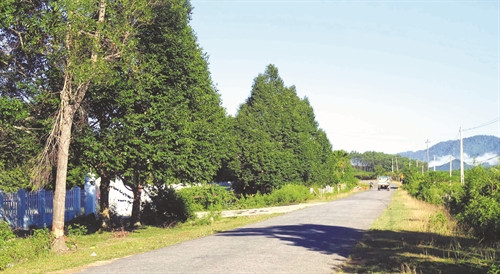 Hàng loạt các tuyến đường liên huyện, liên xã được nâng cấp, xây mới đã và đang làm thay đổi bộ mặt nông thôn ở huyện Đông Giang Hàng loạt các tuyến đường liên huyện, liên xã được nâng cấp, xây mới đã và đang làm thay đổi bộ mặt nông thôn ở huyện Đông Giang