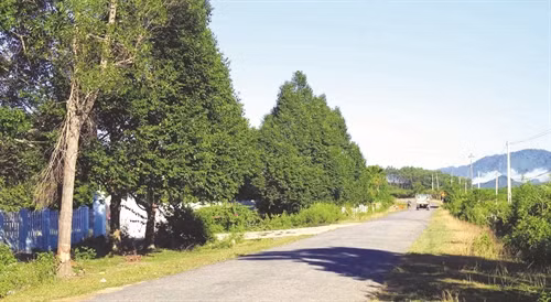 Hàng loạt các tuyến đường liên huyện, liên xã được nâng cấp, xây mới đã và đang làm thay đổi bộ mặt nông thôn ở huyện Đông Giang