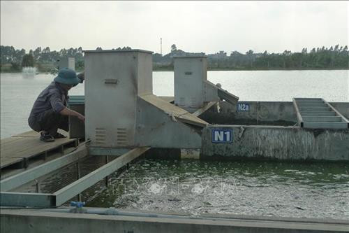 Công nhân đang kiểm tra thiết bị tại bể. Ảnh: Thanh Nga - TTXVN