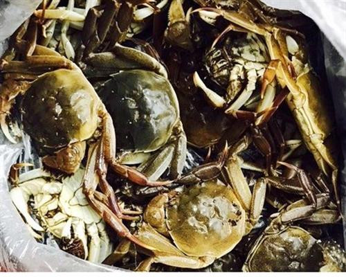 Độc đáo lẩu cà ra xứ Đông Triều (Quảng Ninh) ảnh 1 Độc đáo lẩu cà ra xứ Đông Triều (Quảng Ninh) ảnh 1