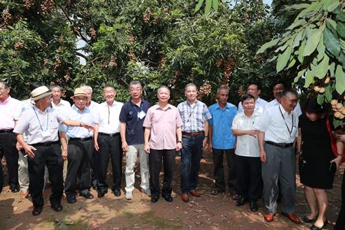 Đoàn cán bộ Hội đồng xúc tiến Nông Lâm Ngư nghiệp Nhật Bản thăm Trang trại trồng nhãn chín muộn của hộ gia đình ông Trần Văn Bảy - Phó Chủ tịch Hội sản xuất và kinh doanh nhãn chín muộn huyện Hoài Đức, Hà Nội.