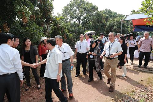 Đoàn cán bộ Hội đồng xúc tiến Nông Lâm Ngư nghiệp Nhật Bản thăm Trang trại trồng nhãn chín muộn của hộ gia đình ông Trần Văn Bảy - Phó Chủ tịch Hội sản xuất và kinh doanh nhãn chín muộn huyện Hoài Đức, Hà Nội.