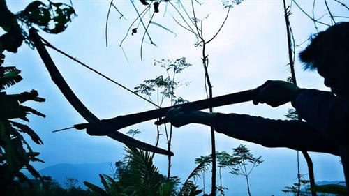 Hà Văn Thành bắn nỏ như một thiện xạ Hà Văn Thành bắn nỏ như một thiện xạ