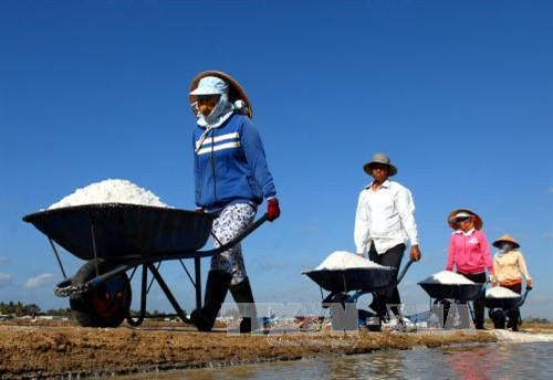 Mua tạm trữ muối để diêm dân bớt gánh nặng ảnh 2