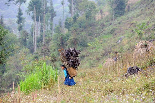 Khi đi nương quẩy tấu đựng dụng cụ lao động, khi về nhà quẩy tấu lại đựng các sản vật từ nương về nhà, khi đi chợ quẩy tấu cũng đi theo. Khi đi nương quẩy tấu đựng dụng cụ lao động, khi về nhà quẩy tấu lại đựng các sản vật từ nương về nhà, khi đi chợ quẩy tấu cũng đi theo.