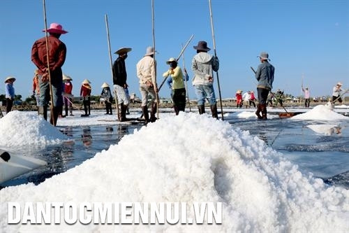 Mô hình muối trải bạt đem lại thu nhập cao cho người làm muối ở Bình Thuận. Ảnh: Nguyễn Thanh