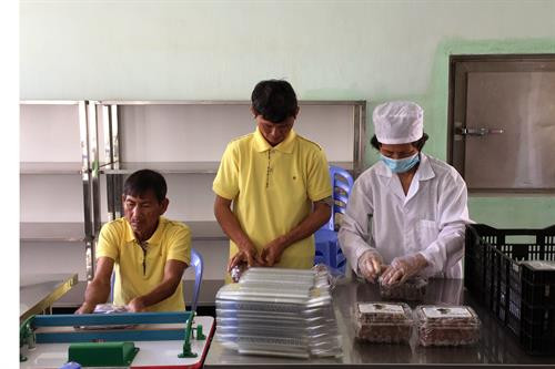 Đóng gói sản phẩm nho, táo đưa vào kho bảo quản lạnh Ảnh: Công Thử - TTXVN Đóng gói sản phẩm nho, táo đưa vào kho bảo quản lạnh Ảnh: Công Thử - TTXVN