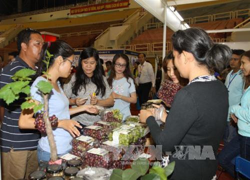 Đông đảo khách tham quan Hội chợ triển lãm “Tôn vinh hàng Việt”- năm 2017. Ảnh: Thanh Vũ-TTXVN