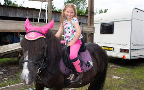 Phóng sự ảnh về tương lai bất trắc của những đứa trẻ Di gan thế kỷ 21 ảnh 11 Phóng sự ảnh về tương lai bất trắc của những đứa trẻ Di gan thế kỷ 21 ảnh 11