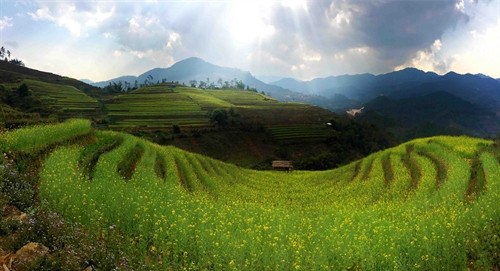 Ảnh minh họa- TTXVN Ảnh minh họa- TTXVN