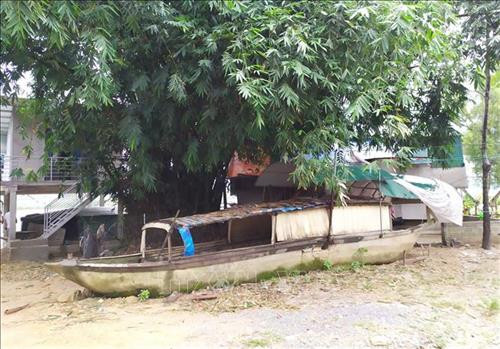Những chiếc thuyền bằng xi măng là nơi sống của dân vạn chài, xóm Vận Tải đã xuống cấp không thể ở. Ảnh: Nguyễn Oanh-TTXVN Những chiếc thuyền bằng xi măng là nơi sống của dân vạn chài, xóm Vận Tải đã xuống cấp không thể ở. Ảnh: Nguyễn Oanh-TTXVN