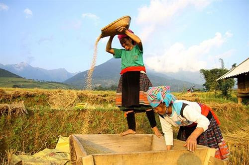 Phát huy hiệu quả mô hình liên kết cùng phát triển kinh tế vùng đồng bào dân tộc huyện Đăk Đoa ảnh 1 Phát huy hiệu quả mô hình liên kết cùng phát triển kinh tế vùng đồng bào dân tộc huyện Đăk Đoa ảnh 1