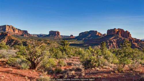 Mùa xuân đã đến ở thung lũng Verde ở Arizona. Ảnh: US Forest Service Coconino National Forest. Mùa xuân đã đến ở thung lũng Verde ở Arizona. Ảnh: US Forest Service Coconino National Forest.