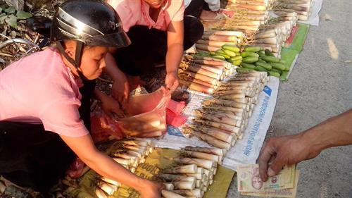 Mùa măng đắng khiến khách du lịch mê mẩn ở đất Mường Trời ảnh 3