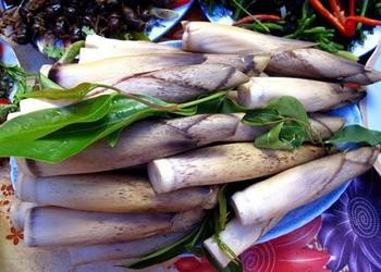 Mùa măng đắng khiến khách du lịch mê mẩn ở đất Mường Trời ảnh 1