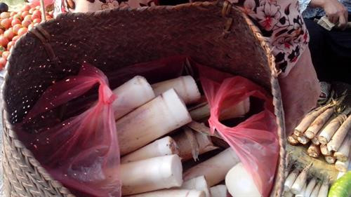 Mùa măng đắng khiến khách du lịch mê mẩn ở đất Mường Trời ảnh 2