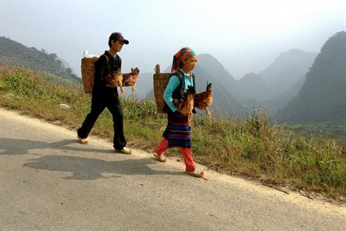 Chiều khách Thử áo Chọn lựa Giao lưu Góc chợ Lũng Pài Ngày chợ phiên Rực rỡ sắc màu Góc chợ Hàng hóa được bày bán tại chợ Vật dụng nhà nông Xem hàng Tan chợ