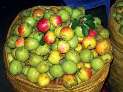 Đậm đà hương vị Táo mèo ảnh 1 Đậm đà hương vị Táo mèo ảnh 1