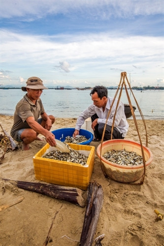 Thành quả sau một đêm đặt rớ.