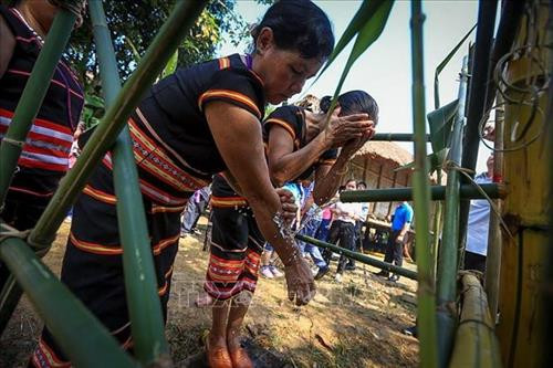 Sau khi già làng cúng xong sẽ khơi thông giọt nước và các cô gái Xơ Đăng sẽ hứng những giọt nước đầu nguồn về với máng nước của buôn làng rửa mặt với ước mong được thần nước phù hộ. Ảnh: Trọng Đạt - TTXVN