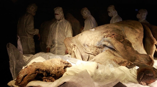 Mẫu vật tại phòng thí nghiệm. Ảnh: Reuters