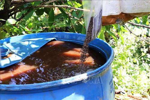 Người dân bón phân cho cà phê qua hệ thống tưới nhỏ giọt. Ảnh:Hưng Thịnh – TTXVN Người dân bón phân cho cà phê qua hệ thống tưới nhỏ giọt. Ảnh:Hưng Thịnh – TTXVN