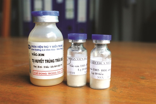 Trước khi đưa ra thị trường, vắc xin phải được dán mác với thông tin đầy đủ, từ tên vắc xin, hạn sử dụng cho đến số lô sản xuất, liều lượng… Trước khi đưa ra thị trường, vắc xin phải được dán mác với thông tin đầy đủ, từ tên vắc xin, hạn sử dụng cho đến số lô sản xuất, liều lượng…