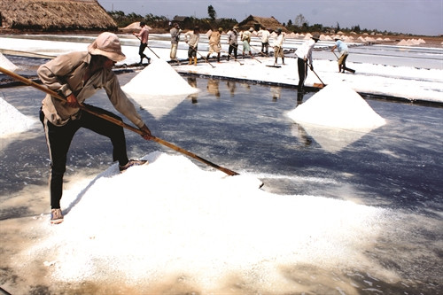 Sản xuất muối tại huyện Đông Hải (Bạc Liêu) Sản xuất muối tại huyện Đông Hải (Bạc Liêu)