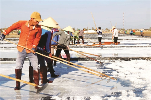 Bờ biển trải dài gần 200 km cùng với khí hậu mưa ít nắng nhiều, Bình Thuận là địa phương có nhiều thuận lợi cho ngành sản xuất muối Bờ biển trải dài gần 200 km cùng với khí hậu mưa ít nắng nhiều, Bình Thuận là địa phương có nhiều thuận lợi cho ngành sản xuất muối