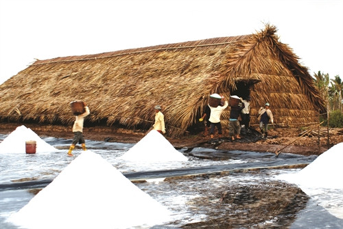 Lượng muối tồn kho của diêm dân còn khá nhiều, chủ yếu do chất lượng và giá bán thấp Lượng muối tồn kho của diêm dân còn khá nhiều, chủ yếu do chất lượng và giá bán thấp