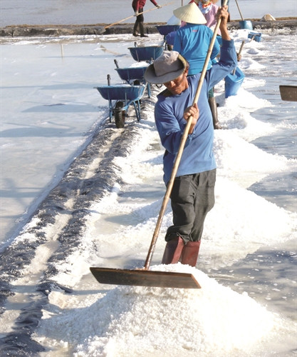 Nghề sản xuất muối tạo công ăn việc làm cho hàng trăm lao động ở huyện Hàm Thuận Nam (Bình Thuận) Nghề sản xuất muối tạo công ăn việc làm cho hàng trăm lao động ở huyện Hàm Thuận Nam (Bình Thuận)