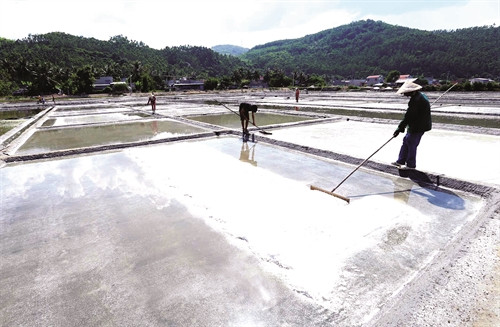 Đồng muối Sa Huỳnh nổi tiếng là vựa muối lớn và quan trọng của miền Trung, thuộc xã Phổ Thạnh, huyện Đức Phổ (Quảng Ngãi) Đồng muối Sa Huỳnh nổi tiếng là vựa muối lớn và quan trọng của miền Trung, thuộc xã Phổ Thạnh, huyện Đức Phổ (Quảng Ngãi)