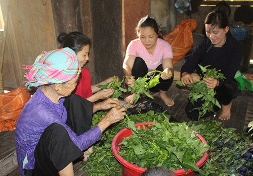 Khi thức dậy, việc đầu tiên trong ngày Tết Đoan Ngọ của đồng bào dân tộc Tày là “diệt sâu bọ”, bằng việc ăn các loại quả như mận, đào, dưa hấu.. và uống 1 chút rượu.. Diệt sâu bọ xong, các thành viên trong gia đình bắt đầu nấu ăn, chuẩn bị đồ lễ dâng cúng tổ tiên. Rất nhiều món ăn đặc sản bản địa được đồng bào Tày chuẩn bị trong ngày Tết Đoan ngọ. Lễ cúng tổ tiên do một bậc cao niên trong gia đình làm lễ. Trẻ em dân tộc Tày cũng dậy từ rất sớm và ăn quả để diệt sâu bọ. Tết Đoan ngọ còn là dịp để các thành viên trong gia đình đoàn tụ, cùng nhau nói chuyện vui vẻ, chúc cho nhau gặp những điều tốt lành trong cuộc sống.