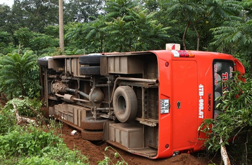 Xe khách của nhà xe Thanh Nhàn bị lật ngang trong rãy cà phê. Ảnh Dương Giang- TTXVN