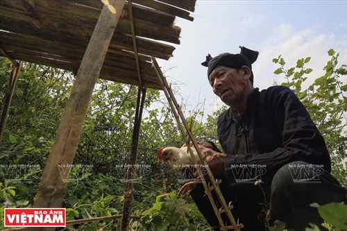 Cận cảnh mâm lễ vật cúng bản của người Cống. Mâm lễ vật này được chuẩn bị ở nhà thày mo. Thày mo làm lễ tại nhà trước khi lên vùng đất linh thiêng để làm lễ cúng bản. Người Cống rời nhà thày mo cùng lễ vật dâng lên hai vị thần nước và thần rừng. Ngoài đồ lễ được thày mo chuẩn bị, họ cũng mang theo gạo, gà và lợn để tế thần linh. Người Cống phát quang khu đất thiêng nơi có nguồn nước dẫn về bản. Trước khi làm lễ, trai bản dựng ngôi nhà nhỏ để đón thần linh về chứng kiến lễ cúng của họ. Thày mo đọc bài khấn đầu tiên trong lễ cúng để mời thần linh về cho dân bản làm lễ. Thày mo giết gà làm vật tế cầu vị thần linh che chở cho bản làng của họ được an lành. C huẩn bị đồ chín để cúng tạ ơn các vị thần. Trai bản giúp thày mo chuẩn bị lễ vật để làm lễ cúng. Thày mo rót rượu mời các vị thần sau khi thực hiện xong bài khấn. Xem bói từ gan là phần rất quan trọng của lễ cúng bản. Qua những đặc điểm của lá ga vừa tế thần, thày mo sẽ nói cho dân bản về kết quả của buổi lễ. Lễ cúng bản của người Cống chỉ dành cho đàn ông. Họ sẽ ăn uống theo cách thức cổ xưa như ông bà tổ tiên của họ ngay tại vùng đất thiêng của bản. Dấu hiệu cấm bản của người Cống. Từ lúc những “chiếc khiêng” này được cắm xuống, bản Nậm Pục sẽ nội bất xuất ngoại bất nhập. Cận cảnh mâm lễ vật cúng bản của người Cống. Mâm lễ vật này được chuẩn bị ở nhà thày mo. Thày mo làm lễ tại nhà trước khi lên vùng đất linh thiêng để làm lễ cúng bản. Người Cống rời nhà thày mo cùng lễ vật dâng lên hai vị thần nước và thần rừng. Ngoài đồ lễ được thày mo chuẩn bị, họ cũng mang theo gạo, gà và lợn để tế thần linh. Người Cống phát quang khu đất thiêng nơi có nguồn nước dẫn về bản. Trước khi làm lễ, trai bản dựng ngôi nhà nhỏ để đón thần linh về chứng kiến lễ cúng của họ. Thày mo đọc bài khấn đầu tiên trong lễ cúng để mời thần linh về cho dân bản làm lễ. Thày mo giết gà làm vật tế cầu vị thần linh che chở cho bản làng của họ được an lành. C huẩn bị đồ chín để cúng tạ ơn các vị thần. Trai bản giúp thày mo chuẩn bị lễ vật để làm lễ cúng. Thày mo rót rượu mời các vị thần sau khi thực hiện xong bài khấn. Xem bói từ gan là phần rất quan trọng của lễ cúng bản. Qua những đặc điểm của lá ga vừa tế thần, thày mo sẽ nói cho dân bản về kết quả của buổi lễ. Lễ cúng bản của người Cống chỉ dành cho đàn ông. Họ sẽ ăn uống theo cách thức cổ xưa như ông bà tổ tiên của họ ngay tại vùng đất thiêng của bản. Dấu hiệu cấm bản của người Cống. Từ lúc những “chiếc khiêng” này được cắm xuống, bản Nậm Pục sẽ nội bất xuất ngoại bất nhập.