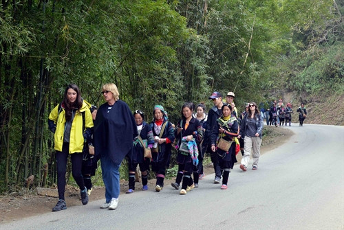 Ảnh minh họa- TTXVN Ảnh minh họa- TTXVN