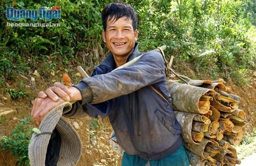 Người dân vui vì cây quế cho nguồn thu nhập cao và ổn định