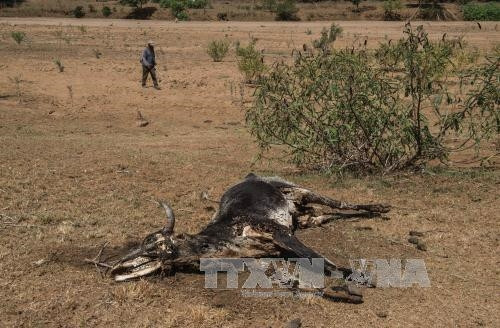 Dự báo những nguy cơ toàn cầu năm 2016 ảnh 1