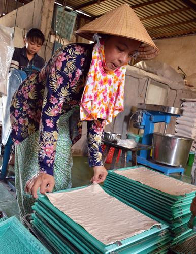 Sản xuất phồng tôm tại xã Hàng Vịnh, huyện Năm Căn (Cà Mau). Ảnh: Huỳnh Thế Anh - TTXVN Sản xuất phồng tôm tại xã Hàng Vịnh, huyện Năm Căn (Cà Mau). Ảnh: Huỳnh Thế Anh - TTXVN