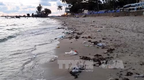 Rác thải ngập tràn trên bãi tắm Dinh Cậu, ngay trung tâm huyện đảo Phú Quốc. Ảnh: Bùi Như Trường Giang