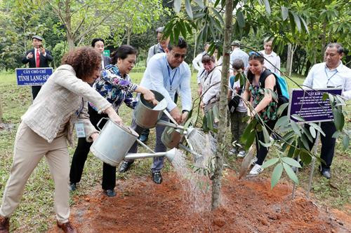 Các đại biểu tham gia chương trình Du Xuân hữu nghị 2019 trồng cây lưu niệm tại Khu Di tích Lịch sử Quốc gia đặc biệt Đền Hùng, tỉnh Phú Thọ. Ảnh: Văn Điệp- TTXVN