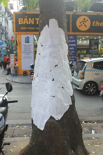 Tác phẩm sắp đặt ngẫu hứng "Phố ôm cây" của nhà thơ, nhạc sĩ Nguyễn Thụy Kha...