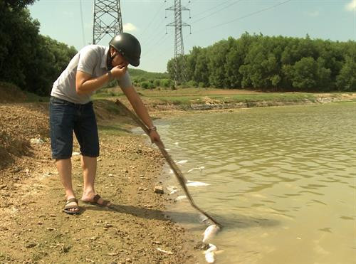 Người dân xử lý số cá chết. Ảnh: Phước Ngọc - TTXVN