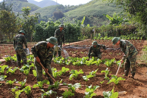 Cán bộ, chiến sĩ đồn Biên phòng Huổi Luông tăng gia sản xuất. Ảnh: Nguyễn Duy - TTXVN